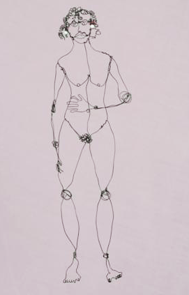 Wire frrame